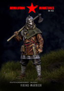 RM-V05  Viking-warrior