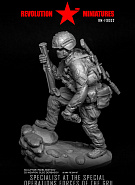 Specialist, GRU Special Operations Forces. 